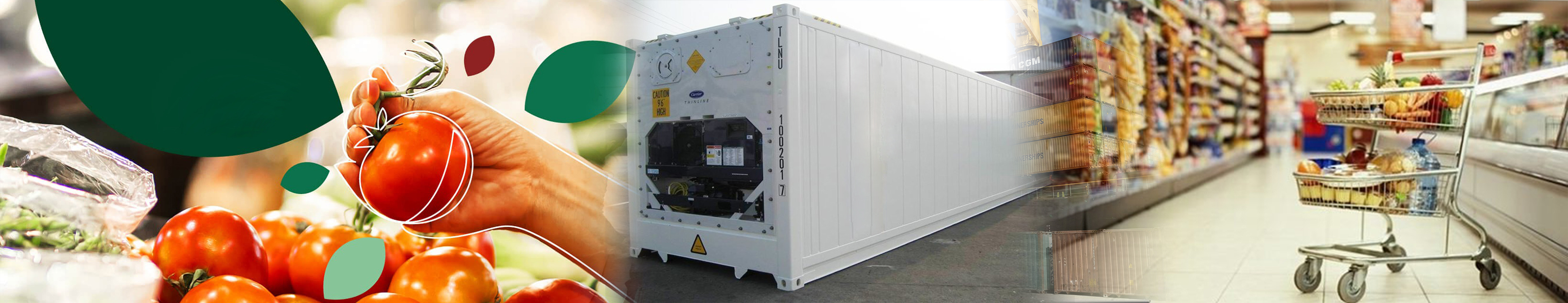 صورة الشركة